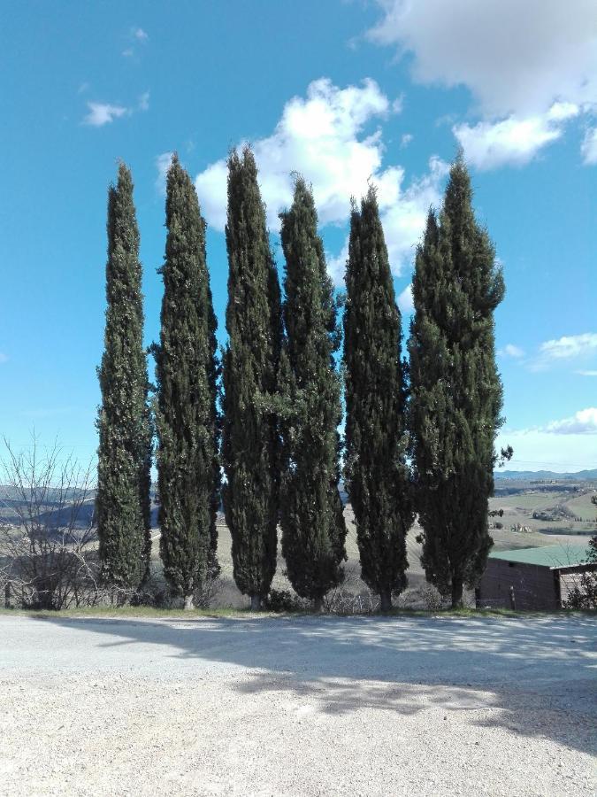 Country House Martina Castelnuovo Berardenga Extérieur photo